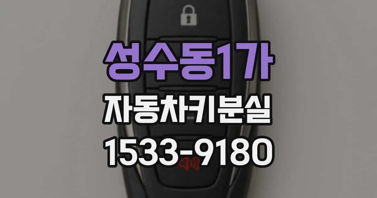 성수동1가 자동차키분실