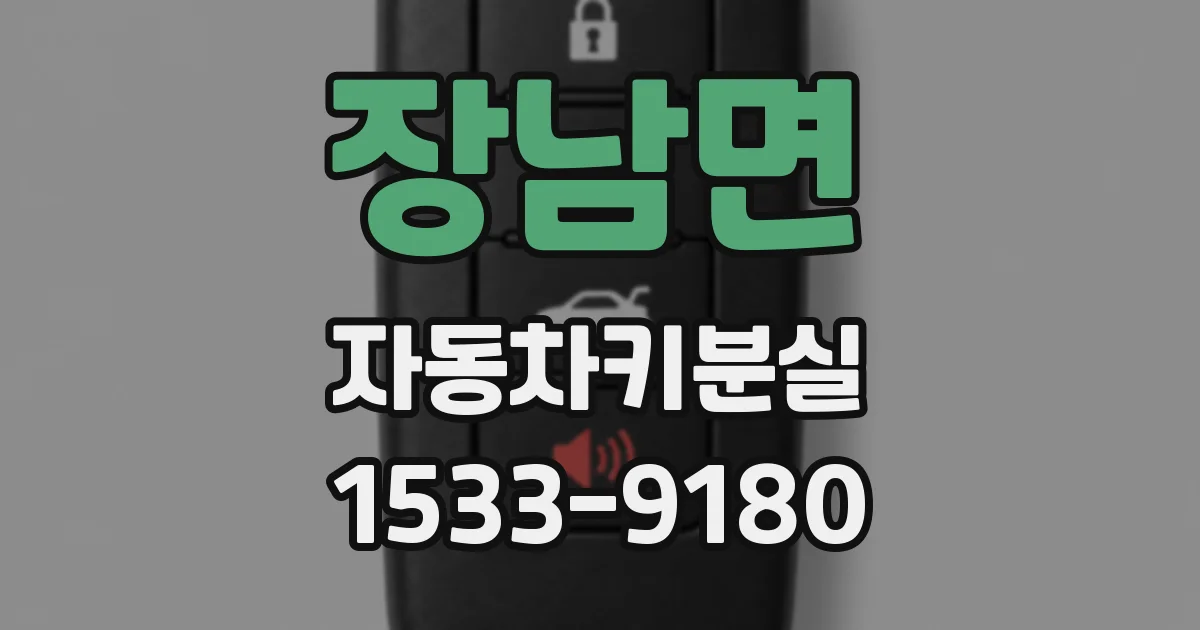 장남면 자동차키분실
