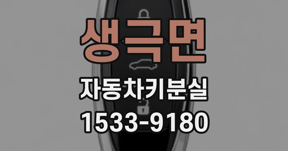 생극면 자동차키분실