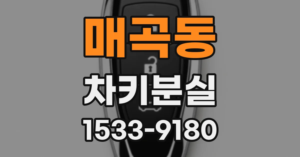 매곡동 차키분실