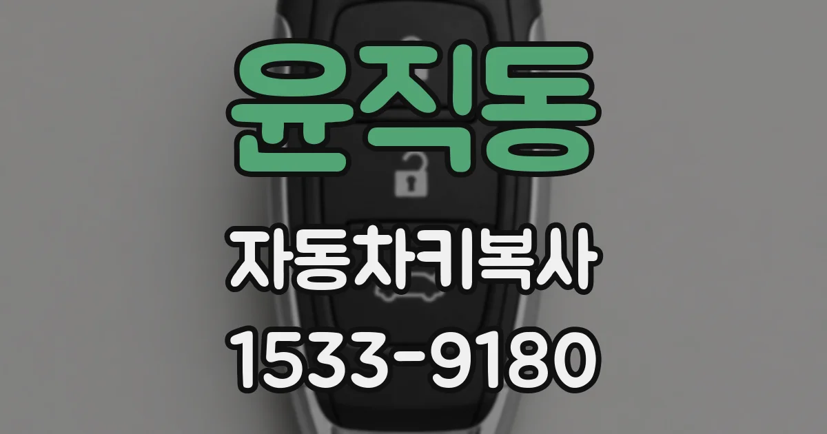 윤직동 자동차키복사