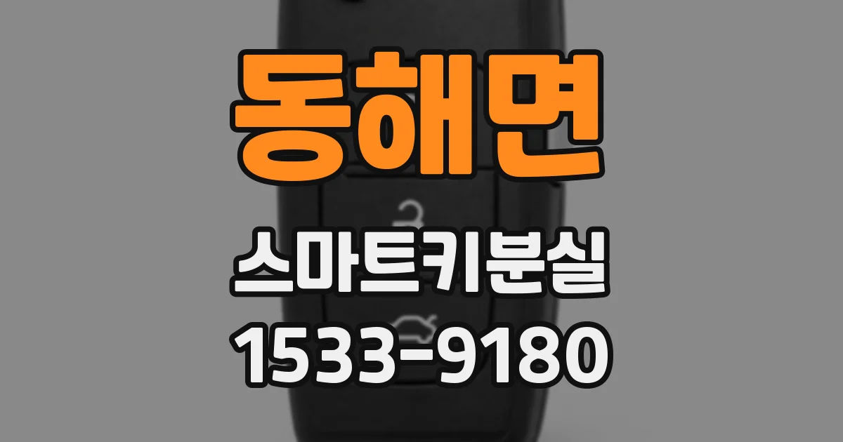 동해면 스마트키분실