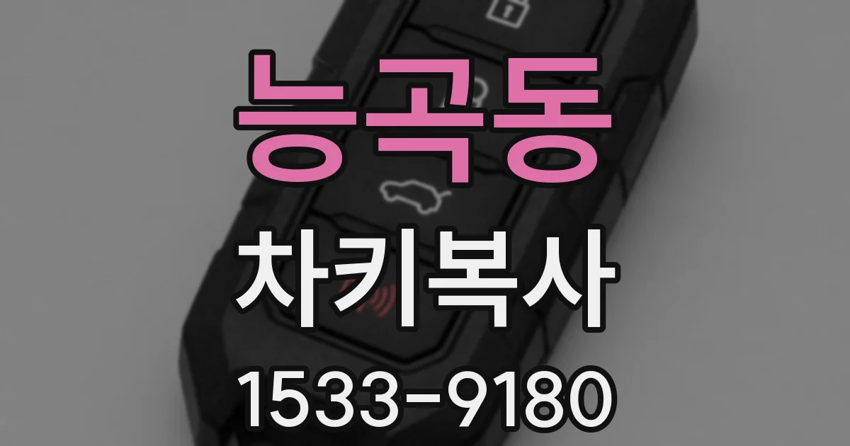능곡동 차키복사