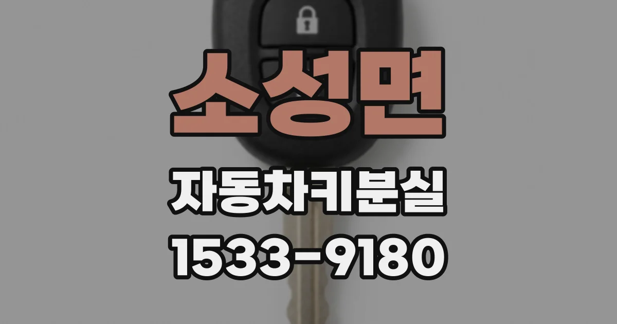 소성면 자동차키분실