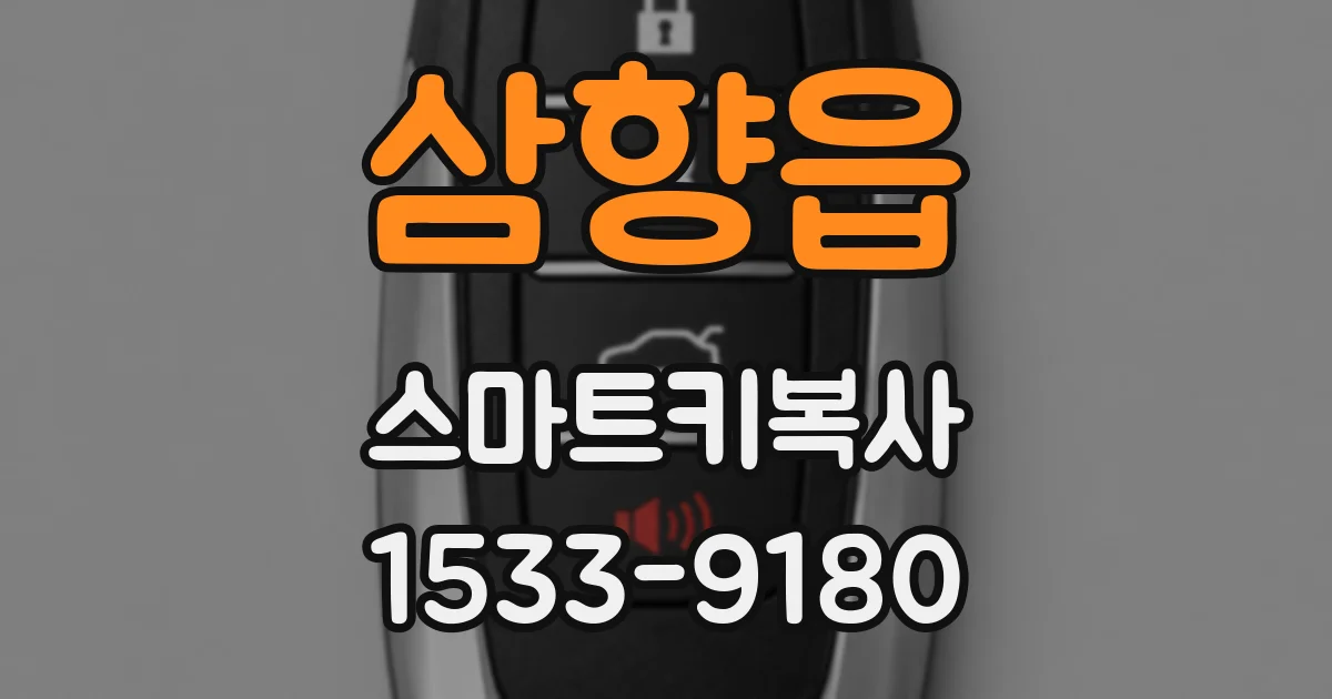 삼향읍 스마트키복사
