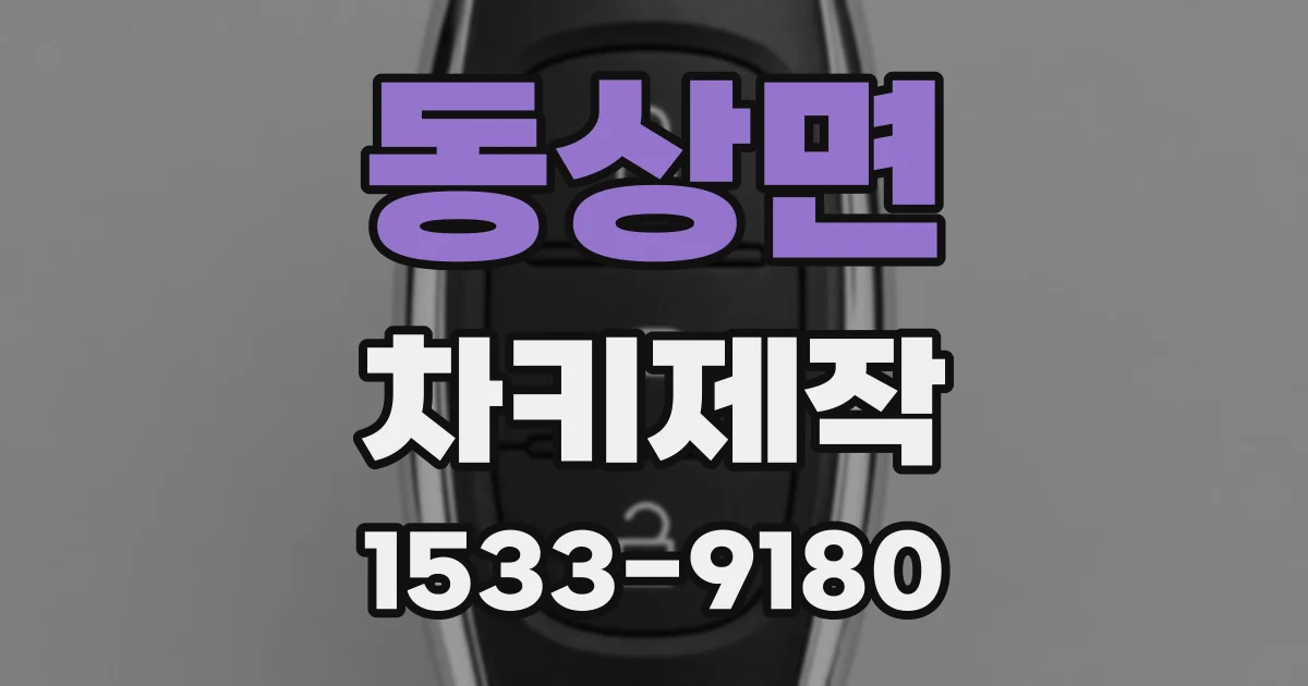 동상면 차키제작