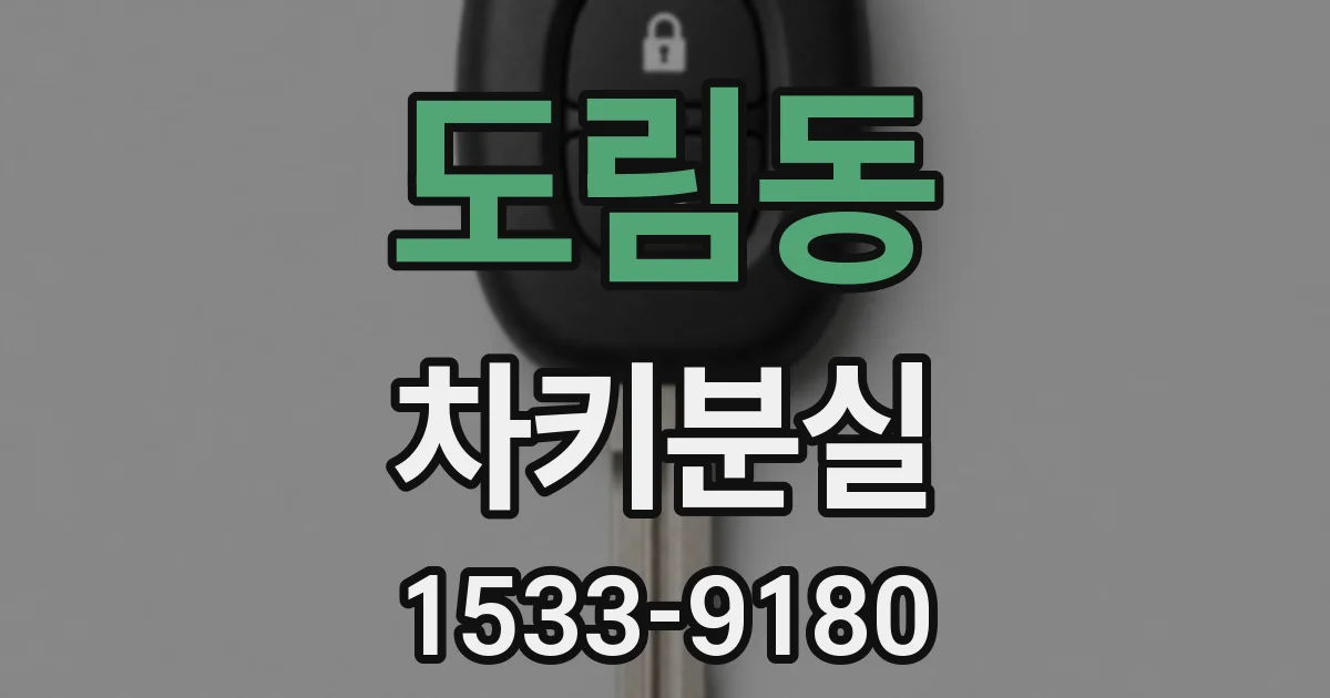 도림동 차키분실