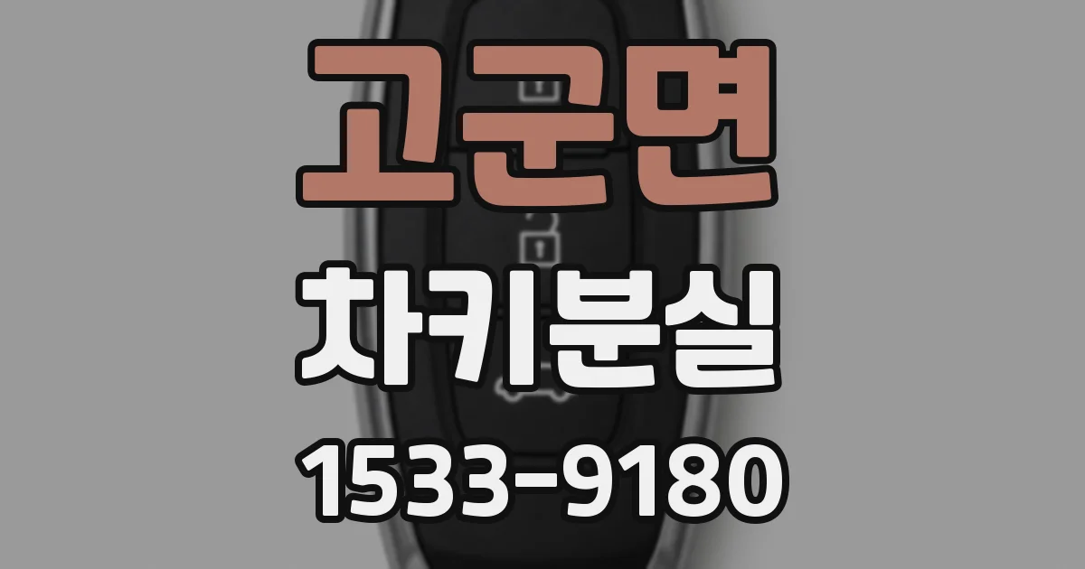 고군면 차키분실