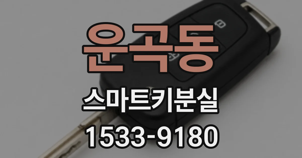 운곡동 스마트키분실