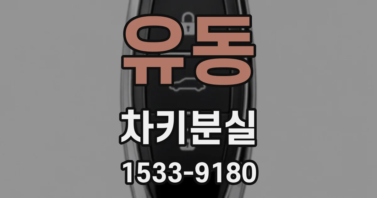 유동 차키분실
