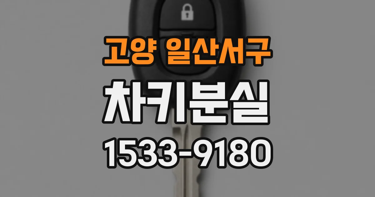 고양 일산서구 차키분실