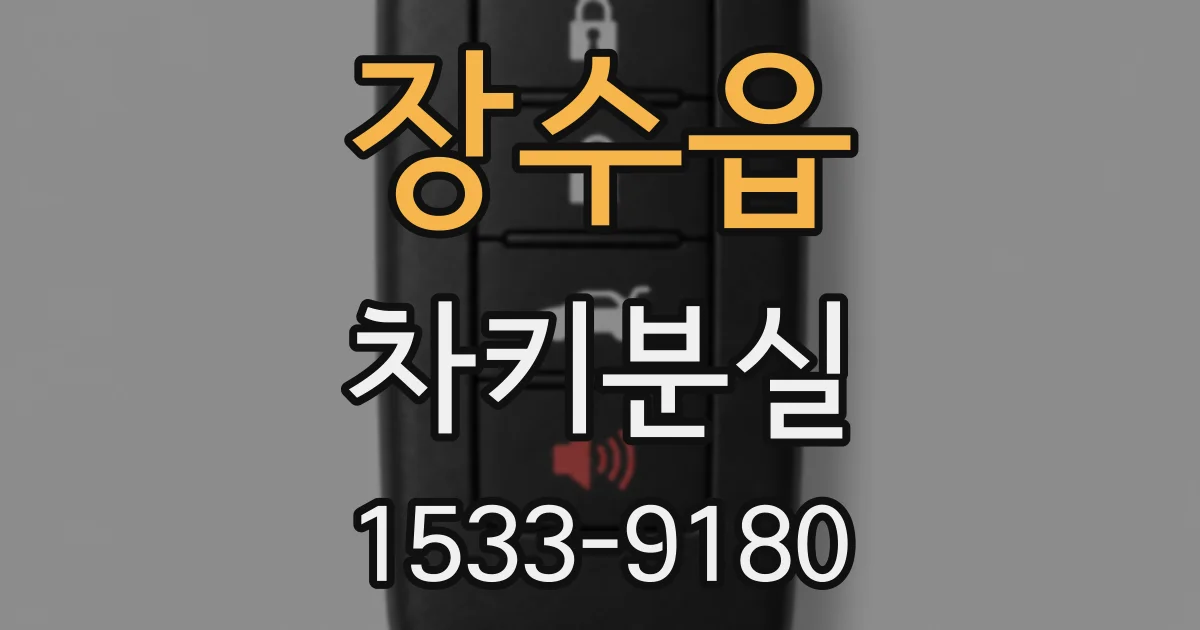 장수읍 차키분실