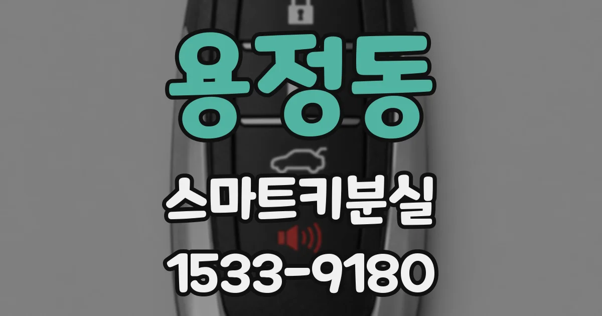 용정동 스마트키분실