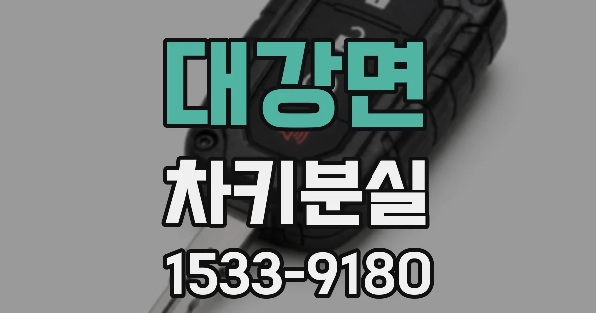 대강면 차키분실