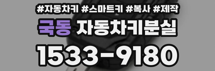 국동 자동차키분실
