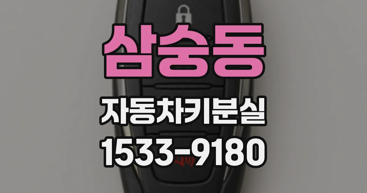 삼숭동 자동차키분실