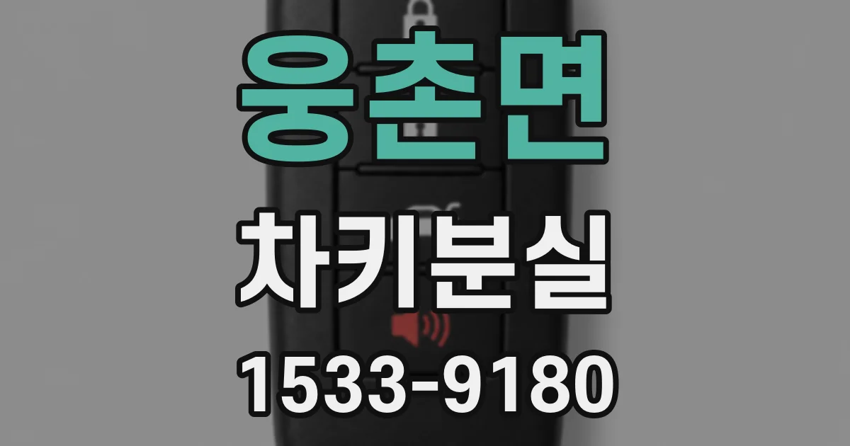 웅촌면 차키분실