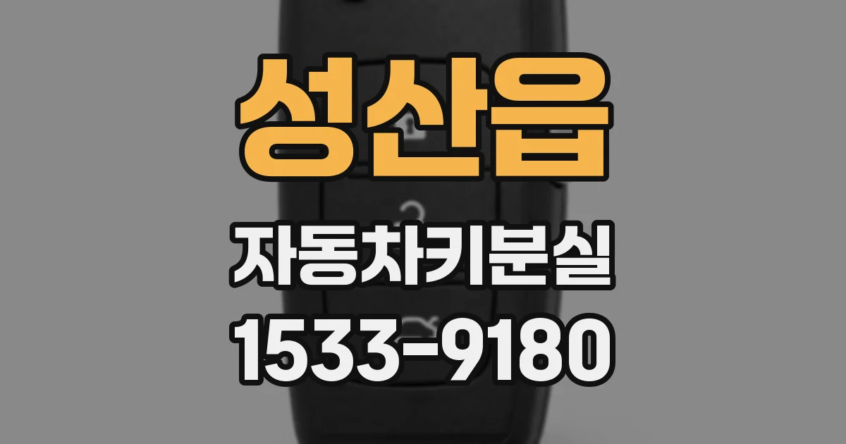 성산읍 자동차키분실