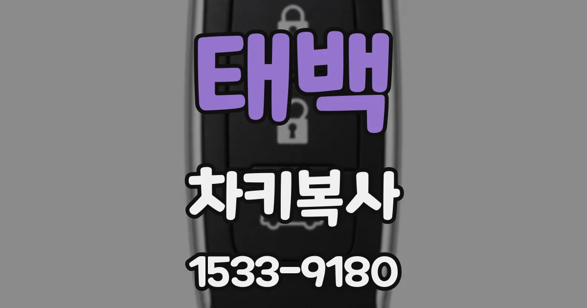 태백 차키복사