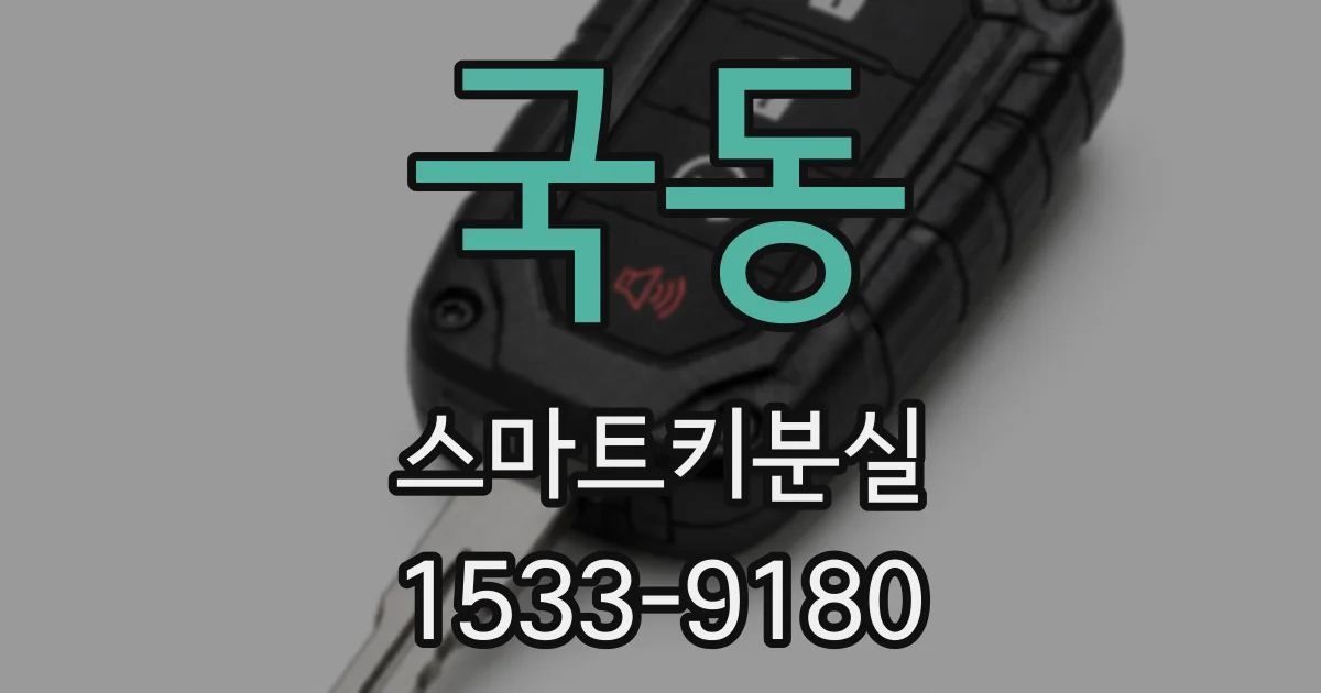 국동 스마트키분실