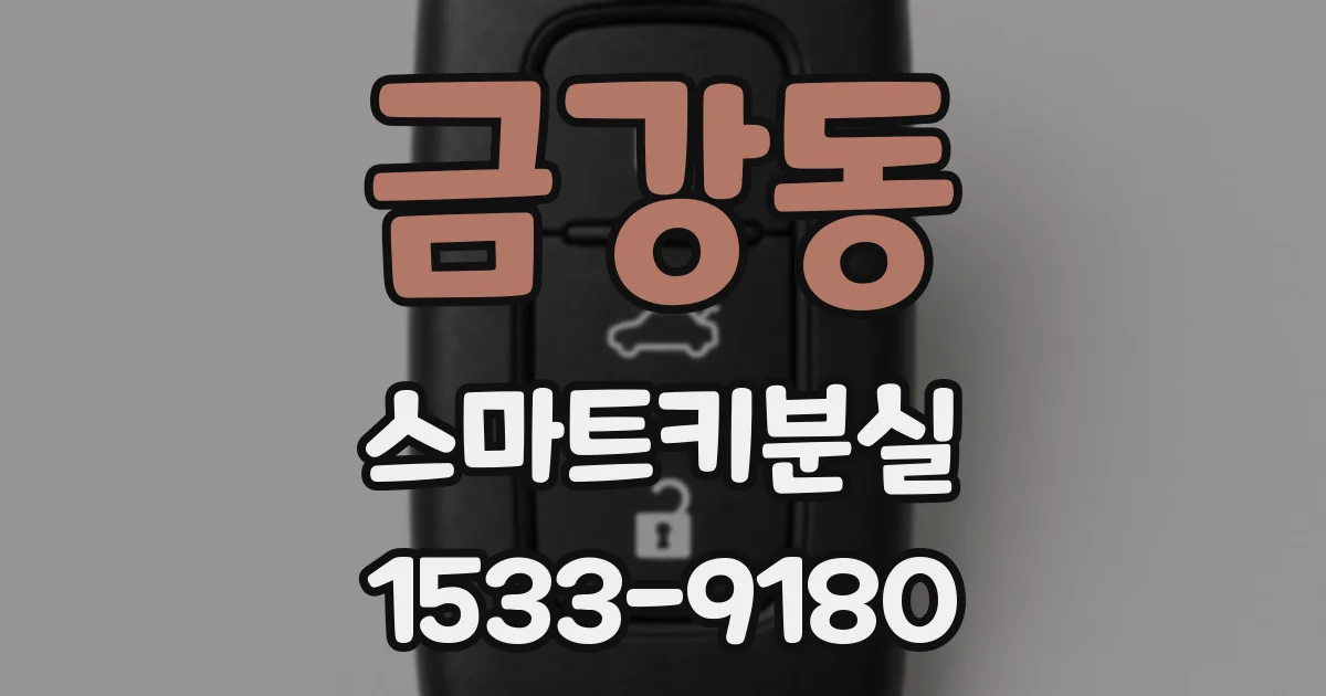 금강동 스마트키분실