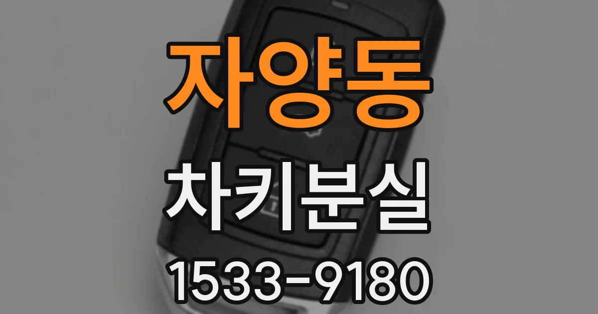 자양동 차키분실