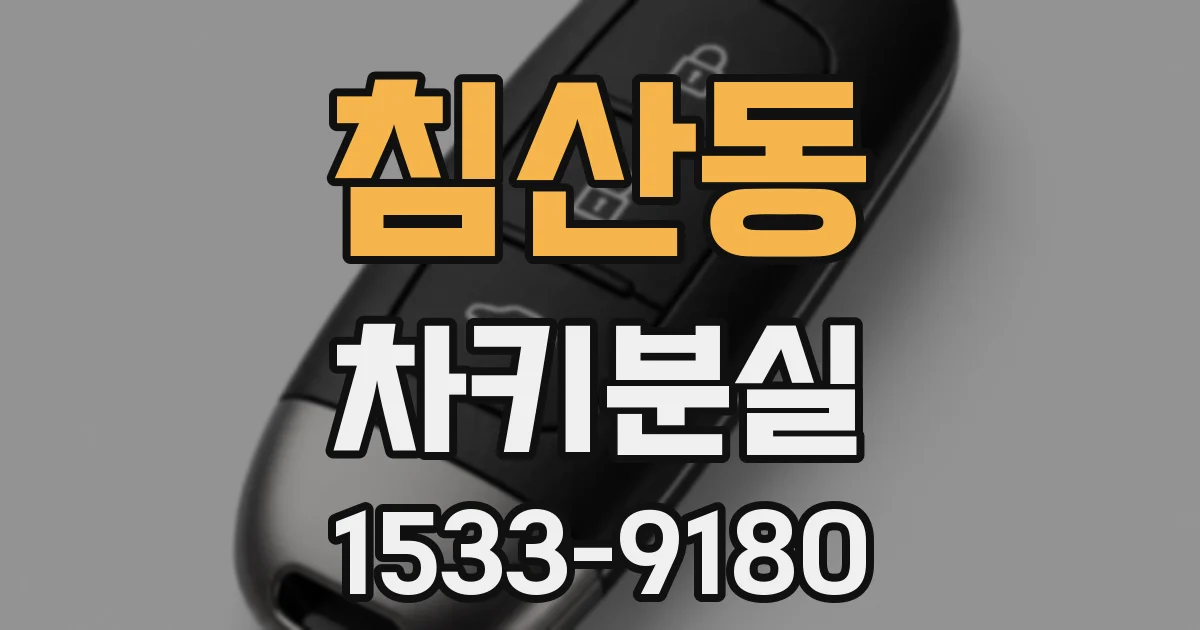 침산동 차키분실