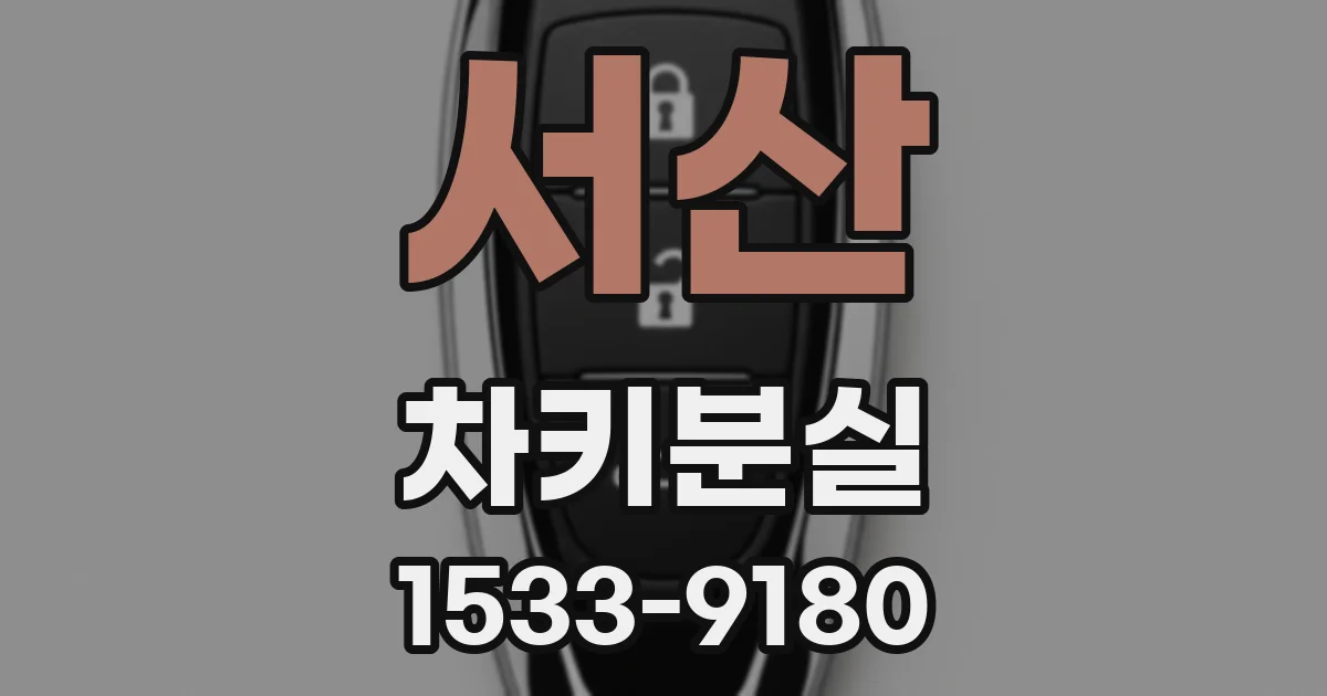 서산 차키분실