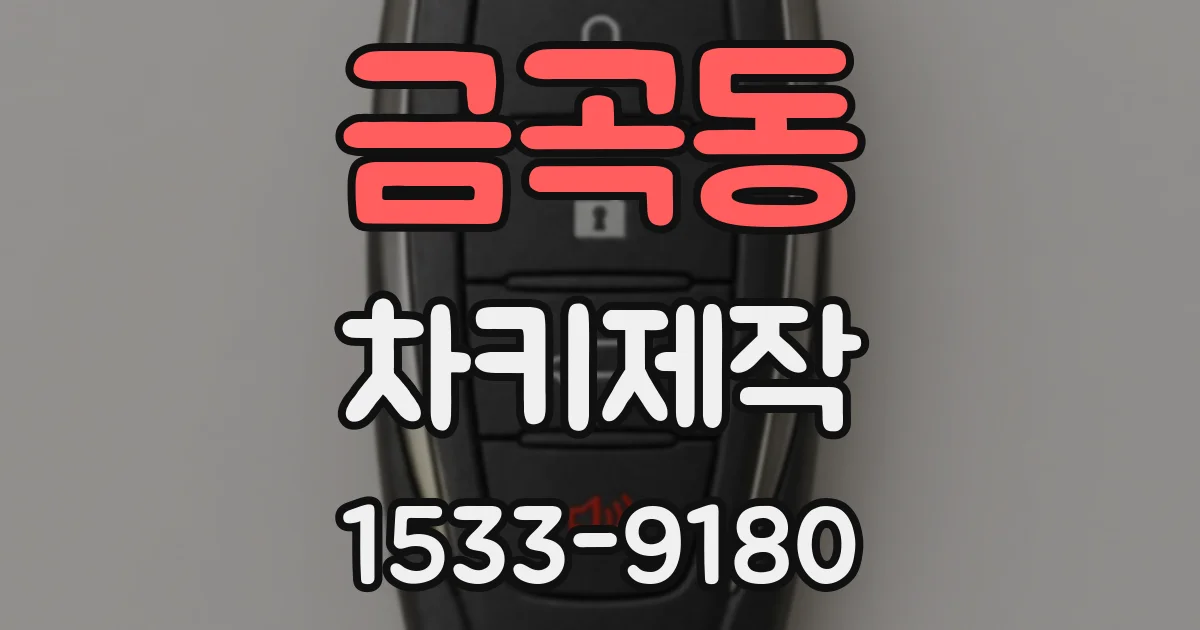 금곡동 차키제작