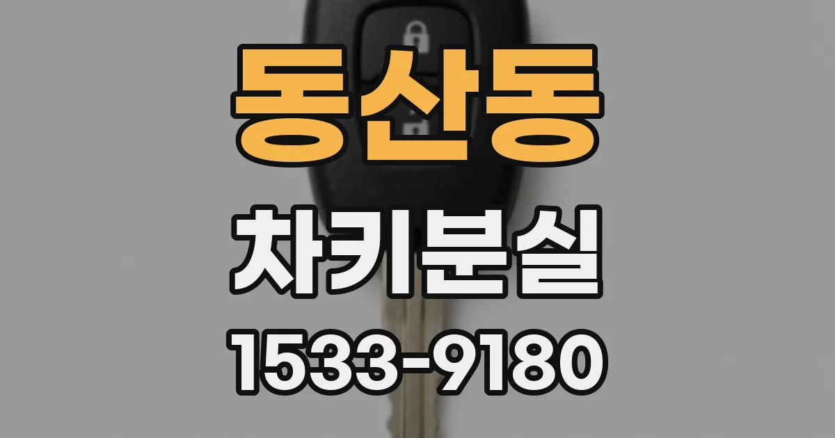 동산동 차키분실