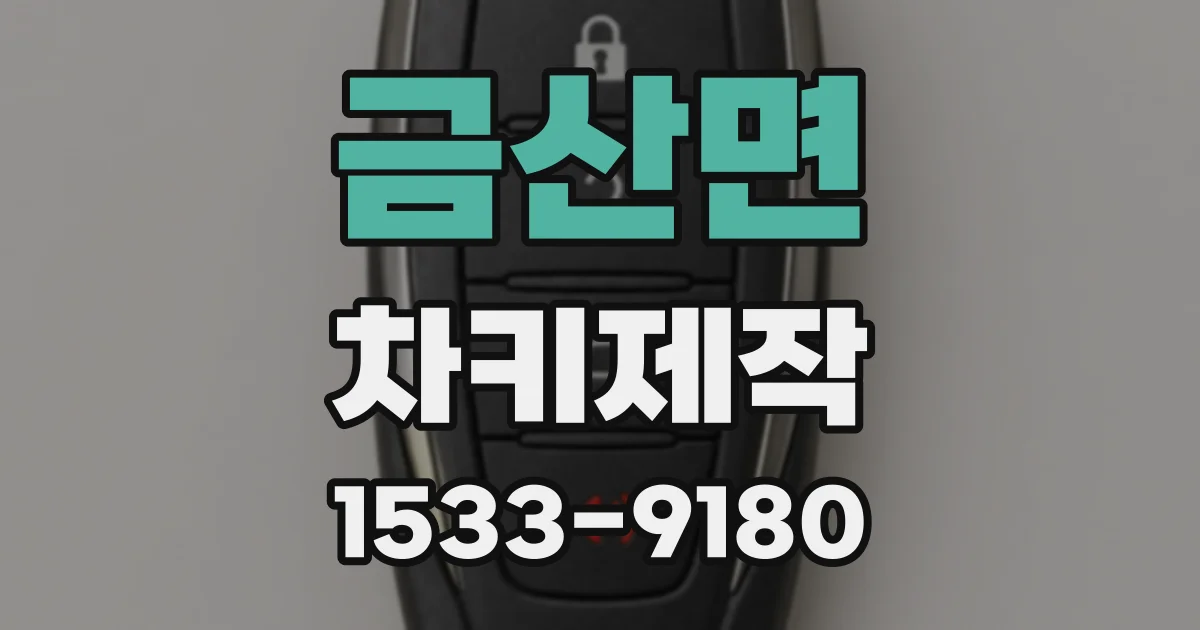 금산면 차키제작