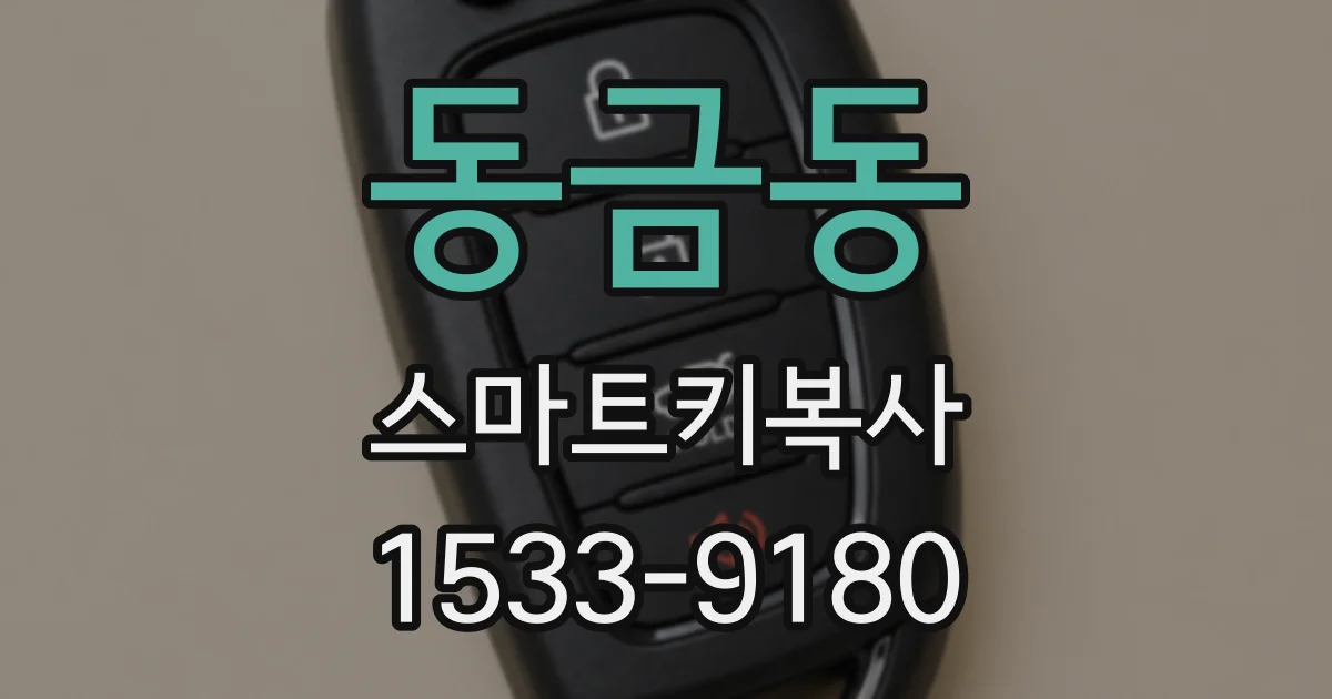 동금동 스마트키복사