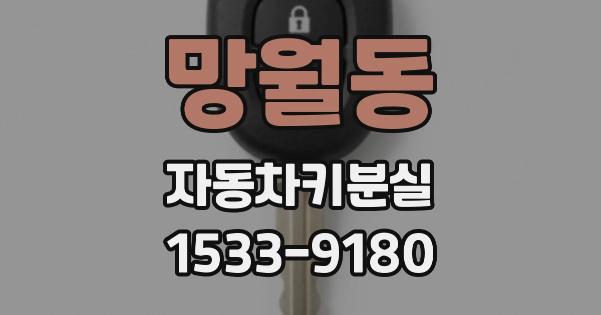 망월동 자동차키분실
