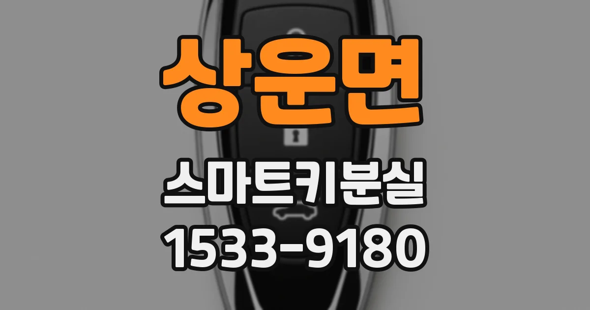 상운면 스마트키분실