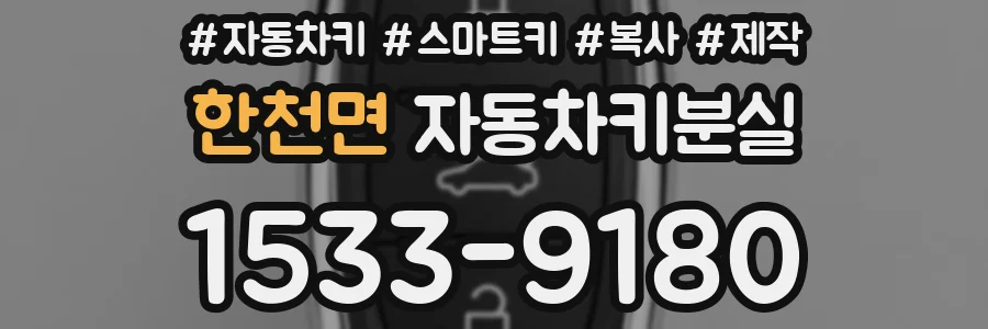 한천면 자동차키분실