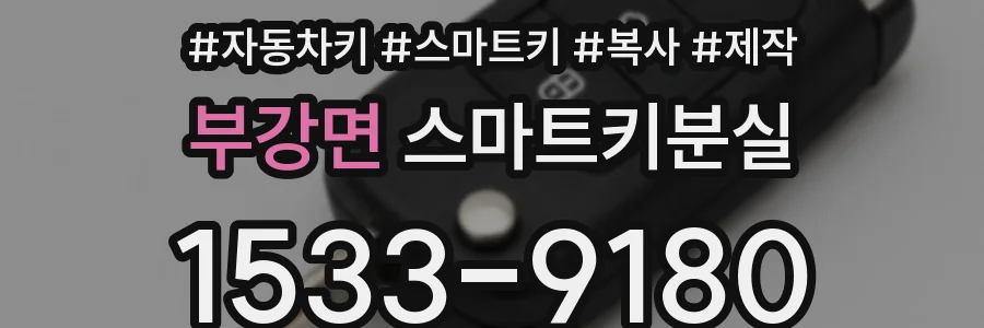부강면 스마트키분실