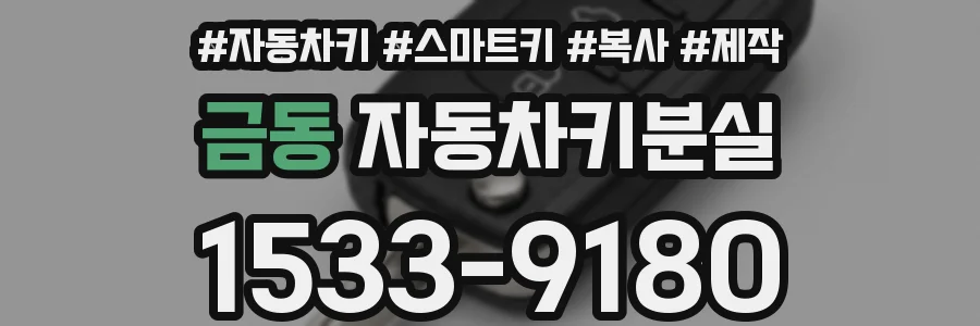 금동 자동차키분실