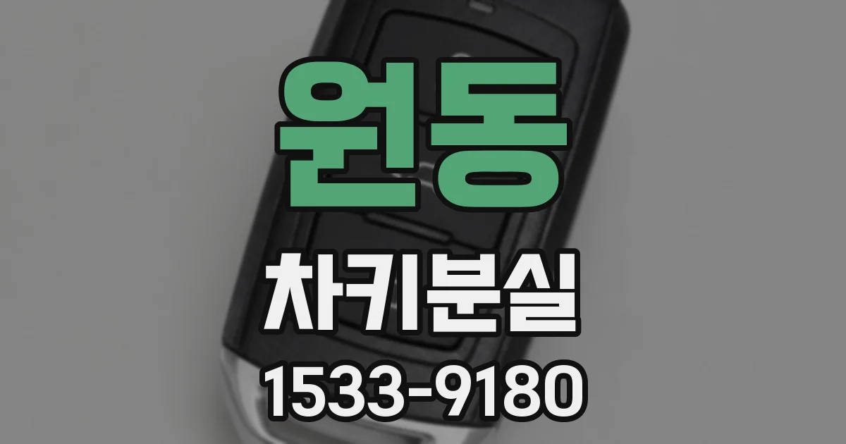 원동 차키분실
