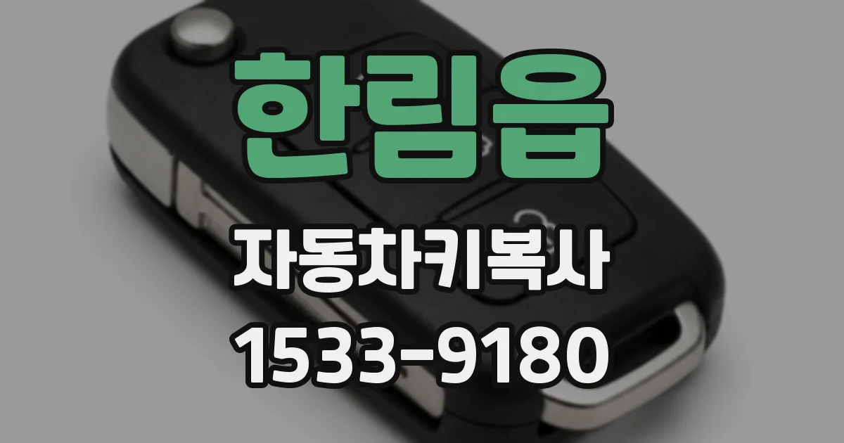 한림읍 자동차키복사
