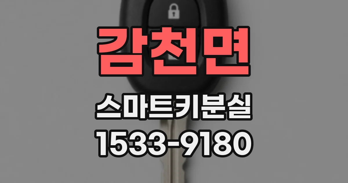 감천면 스마트키분실