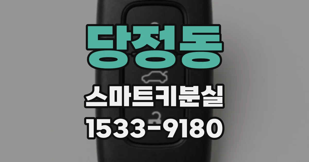 당정동 스마트키분실