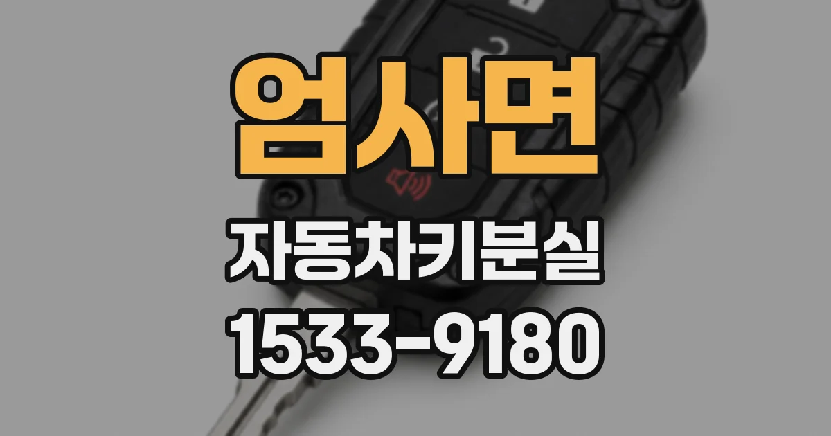 엄사면 자동차키분실