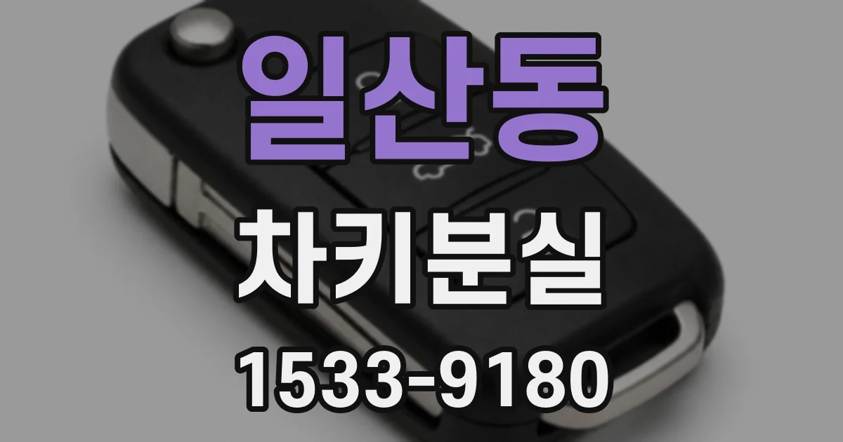 일산동 차키분실