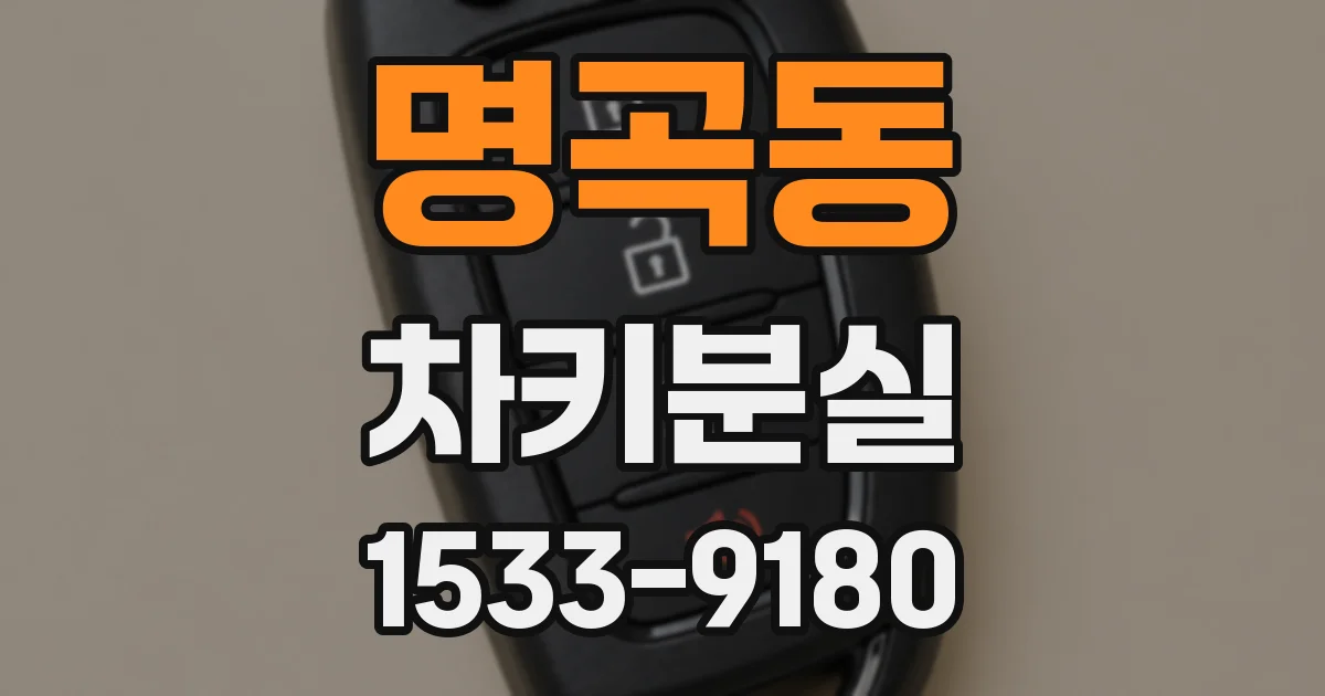 명곡동 차키분실
