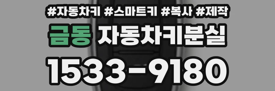 금동 자동차키분실