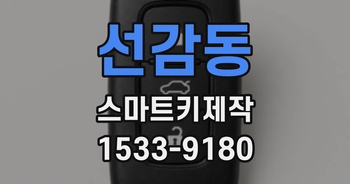선감동 스마트키제작