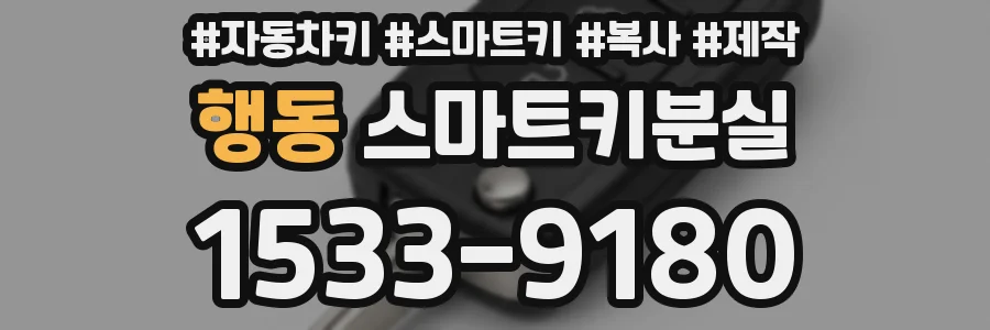 행동 스마트키분실