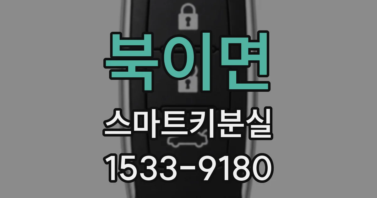 북이면 스마트키분실