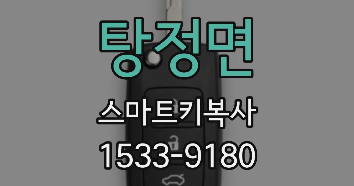 탕정면 스마트키복사
