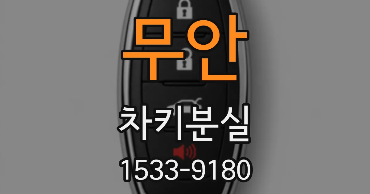 무안 차키분실